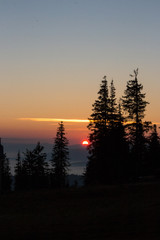 Rising sun with trees silhouettes on clear morning sky background. Mountains in fog at dawn with copy space. Vasness and peace concept. Carpathian mountains in morning dust. Sunrise landscape.