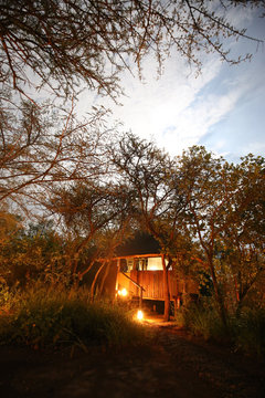 Mosetlha Bush Camp im Madikwe Wildreservat in Südafrika