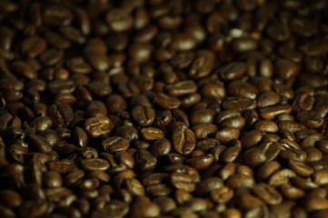 Coffee beans background