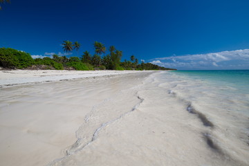 Zanzibar, landscape sea, palms beach