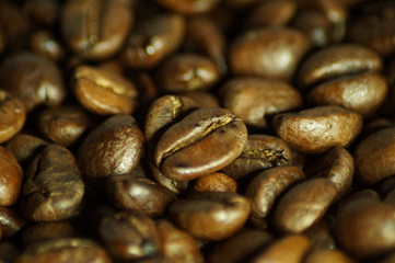 Coffee beans background