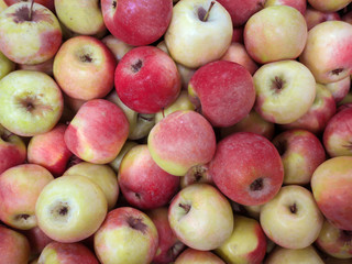 Laying out fresh red green apples in the supermarket.