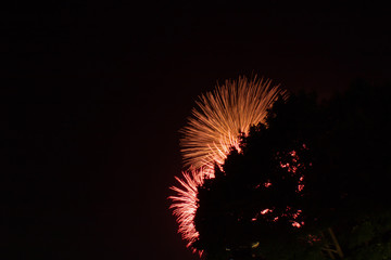 Fireworks at Canada Day in Ottawa