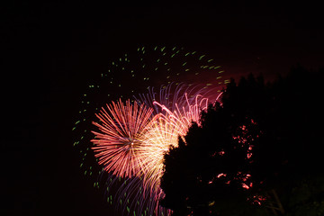 Fireworks at Canada Day in Ottawa