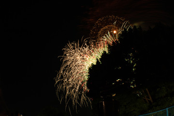 Fireworks at Canada Day in Ottawa
