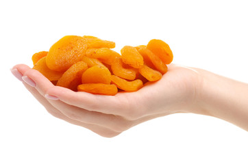 Dried apricots in hand on white background isolation