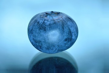 one big blueberry, isolated from a blue background, ready to be eaten. 