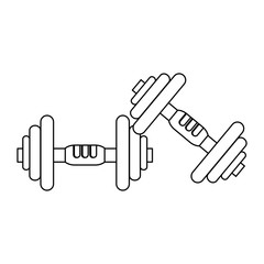 Fitness and gym equipment