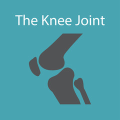 Human knee joint bone icon. Medical concept for orthopedic clinic. Vector illustration.
