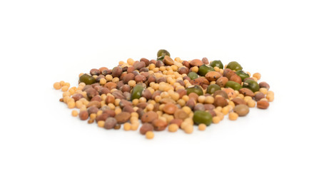 Edible seed mix with dry radish, mustard, lentils, alfalfa seeds