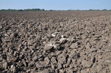 Plowed with tractor plow field after picking up harvest