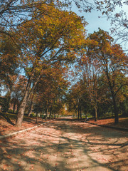 Fototapeta na wymiar A beautiful parc in Bologna Italy during autumn in 2018