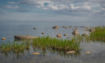 The clear, still water of the Baltic Sea with grasses and boulders along the shore