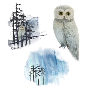 Watercolor winter landscape with owl on tree in forest