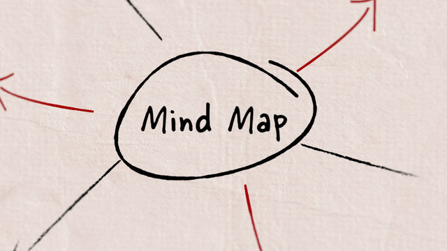 Mind Map Infograph