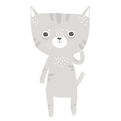 cute gray kitten