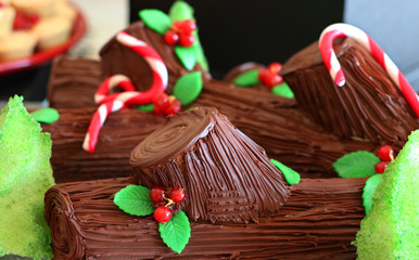 chocolate yule log cake