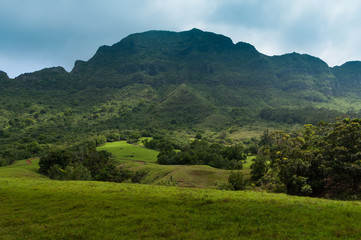 Obraz premium Scenic view looking up at a lush mountainous hillside on the tropical island of Kauai, Hawaii, USA