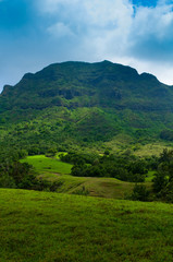 Fototapeta na wymiar Scenic view looking up at a lush mountainous hillside on the tropical island of Kauai, Hawaii, USA