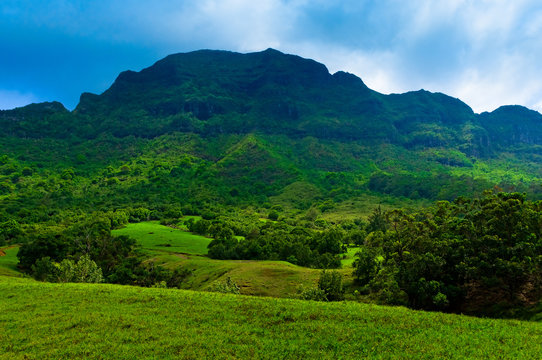Scenic view looking up at a lush mountainous hillside on the tropical island of Kauai, Hawaii, USA