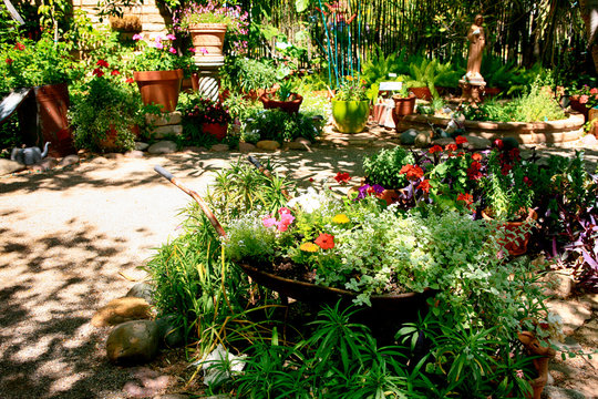 A Bario neighborhood walled garden in a suburb of Tucson Arizona