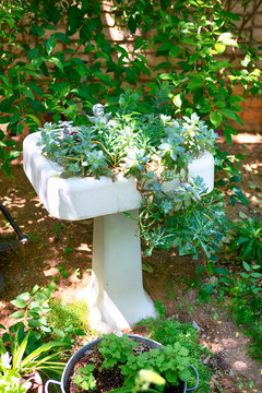 Recycled bathroom wash basin and stand used in the Bario neighborhood garden at the Tucson Botanical Gardens in Arizona