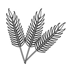 Wheat food symbol black and white