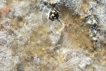 Ice Crystals on frozen pond. Close-up Ice pattern in puddle. Winter background