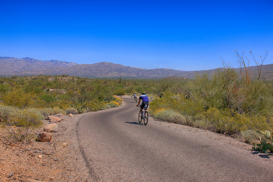 Cyclist in the Saguaro East Rincon Mountain National Park in Tucson, Arizona