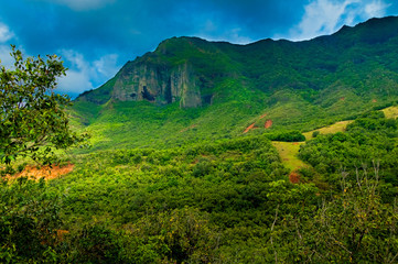 Looking up at a rocky mountain cliff on the lush tropical island of Kauai, Hawaii, USA