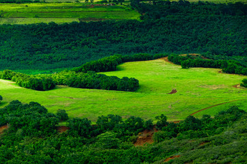 Obraz premium Aerial view overlooking a tropical valley on the island of Kauai, Hawaii, USA