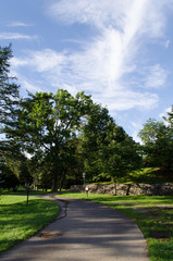 公園の風景