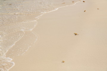 footprints in sand Summer concept background - Sea or Ocean Beach Wallpaper, postcard