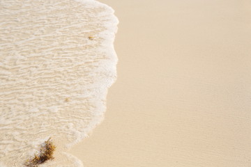 sandy beach and sea water with copy space for your text or image. Summer concept background - Sea or Ocean Beach Wallpaper, postcard