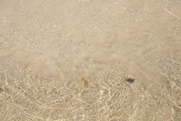 texture of sand. Summer concept background - Sea or Ocean Beach Wallpaper, postcard