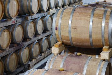 Wine barrels in wine-vaults in order.