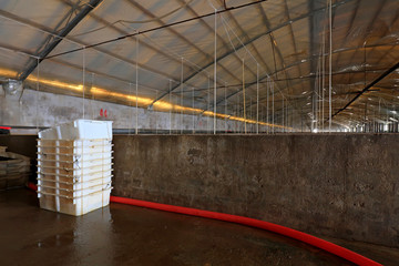 White plastic baskets in Mariculture pond