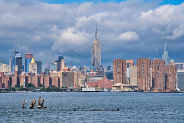 New York Panorama View
