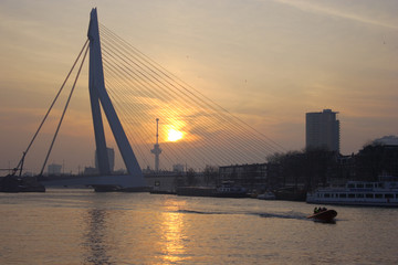 Fototapeta premium Rotterdam cityscape.Netherland
