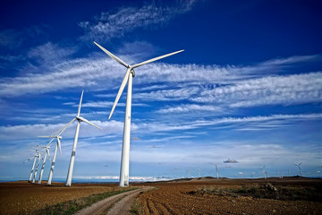 wind farm