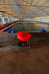 iron pusher in Mariculture workshop
