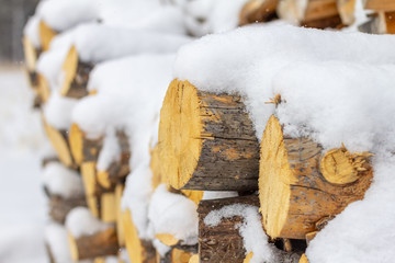 Stacked firewood with snow on top