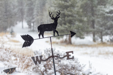 Wind Vane with a deer in the winter - obrazy, fototapety, plakaty