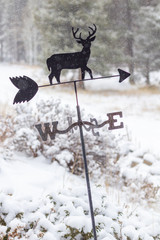 Wind Vane with a deer in the winter