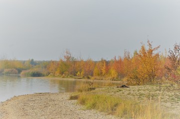 Fototapeta na wymiar Autumn morning mood on the shore of a lake with light fog and trees on the shore