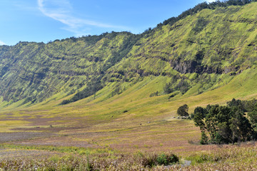 Fototapeta premium Landscape view of Bromo Savannah, Bromo Mountain, Bromo Tengger Semeru National Park, East Java, indonesia