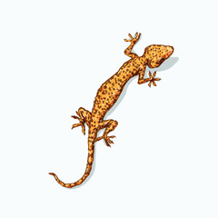 Gecko is sitting on flat gray surface. Vector illustration isolated on background. Reptile llustration for prints, t-shirt, books, textile, clothes	