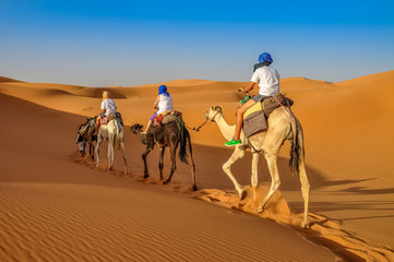 Riding Camels in the Desert