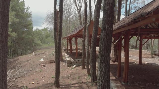 Slow cinematic footage drone flying passing thrunk pine trees in rest area