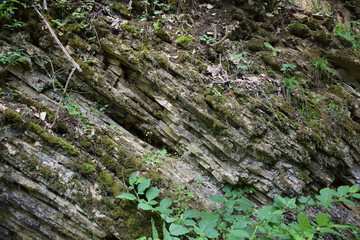 Skały w Dolinie Szalejki © Anna